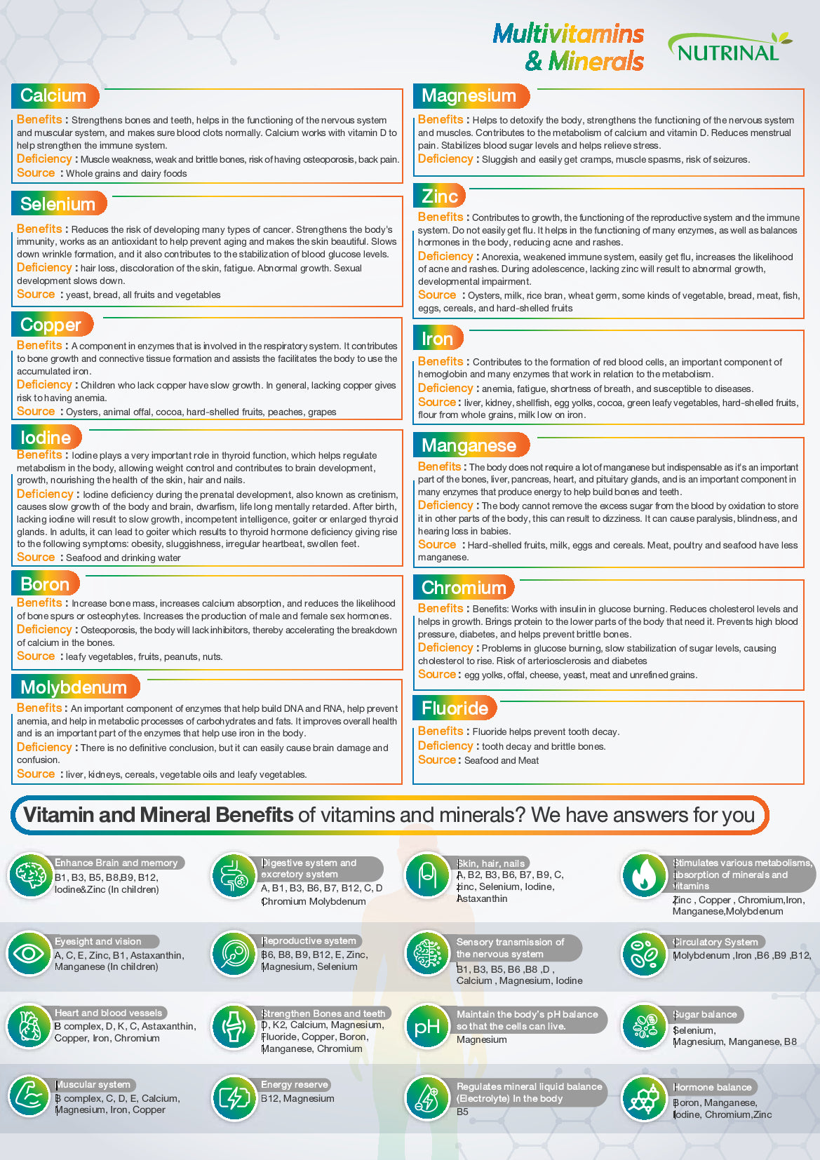 Nutrinal Multivitamins & Mineral