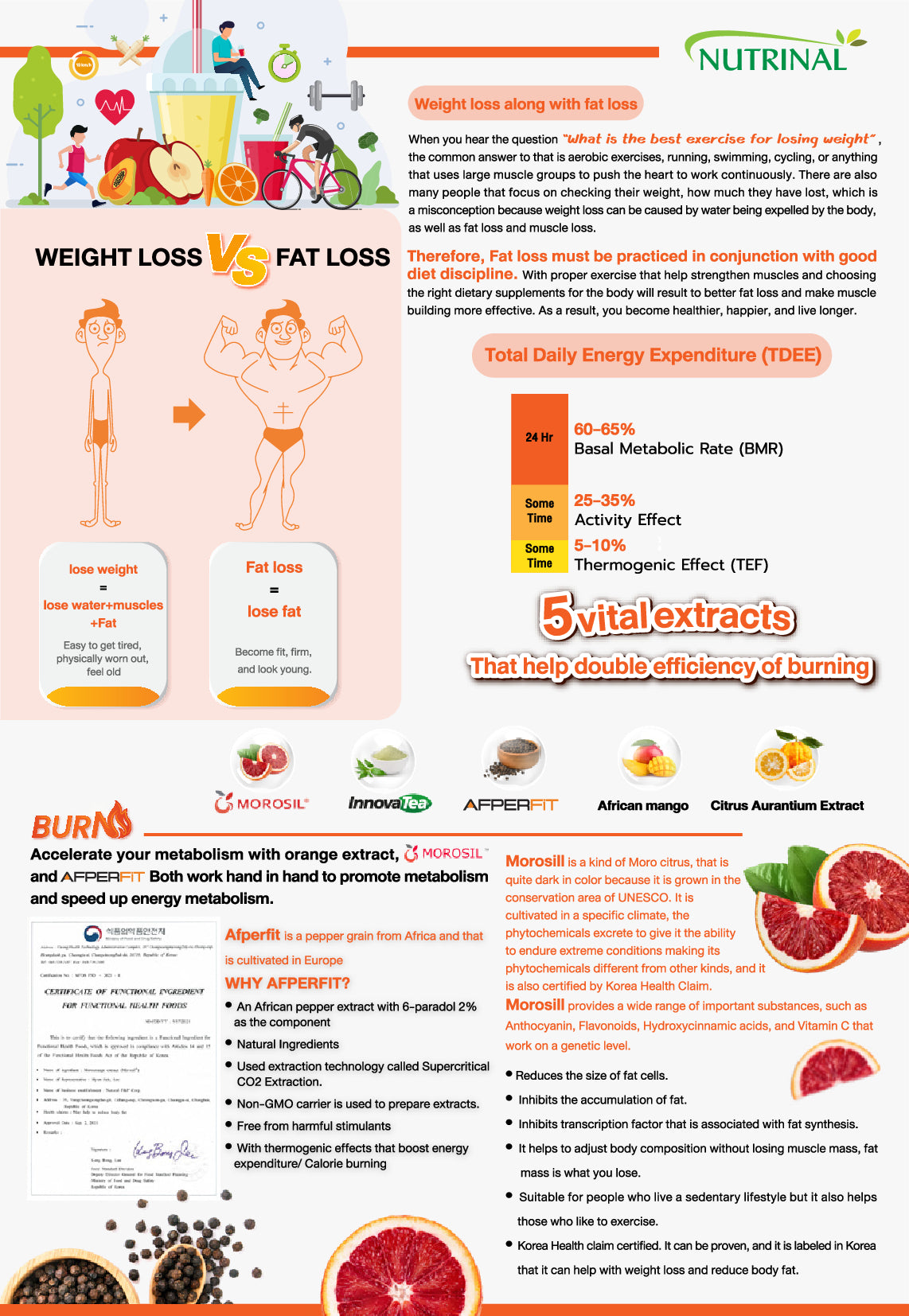 B4 Dietary Supplement Burn Fat