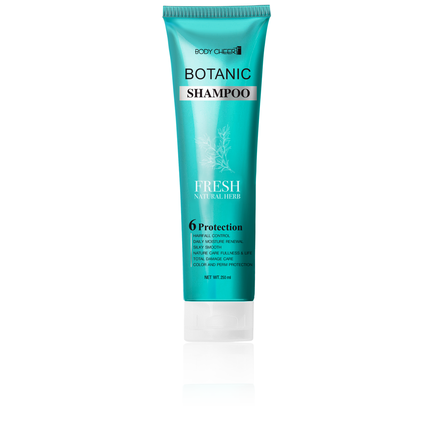 Botanic Shampoo and Conditioner Strong & Perfect